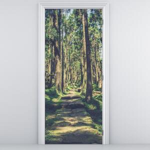 Fototapeta na dveře - Cesta mezi stromy (95x205cm)