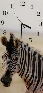 Nástěnné hodiny zebra 30x60cm I - plexi