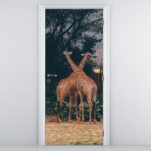 Fototapeta na dveře - Dvě Žirafy (95x205cm)