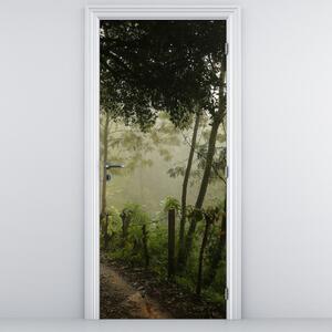 Fototapeta na dveře - Ranní mlha (95x205cm)