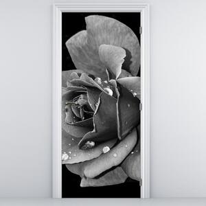 Fototapeta na dveře - Růže, černobíla (95x205cm)