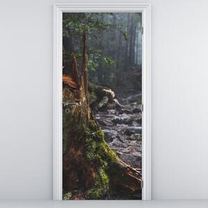 Fototapeta na dveře - V lese (95x205cm)