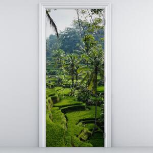 Fototapeta na dveře - Rýžové terasy Tegalalang (95x205cm)