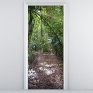 Fototapeta na dveře - Sluneční paprsky v džungli (95x205cm)
