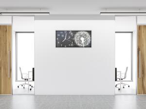 Nástěnné hodiny 30x60cm abstrakt odkvetlá pampeliška - plexi