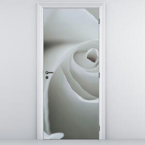 Fototapeta na dveře - Bílá růže (95x205cm)