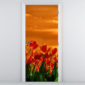 Fototapeta na dveře - Rozkvetlý lán s tulipány (95x205cm)