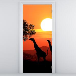 Fototapeta na dveře - Žirafy při západu slunce (95x205cm)