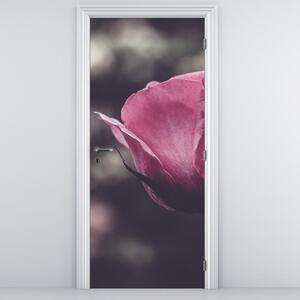 Fototapeta na dveře - Detail květu růže (95x205cm)