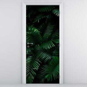 Fototapeta na dveře - Tropické kapradí (95x205cm)
