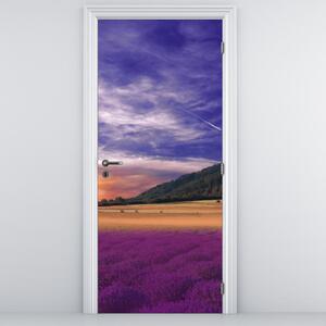 Fototapeta na dveře - Levandulová louka (95x205cm)