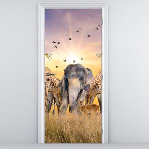 Fototapeta na dveře - Africká zvířata (95x205cm)