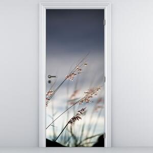 Fototapeta na dveře - Luční kvítí u jezera (95x205cm)