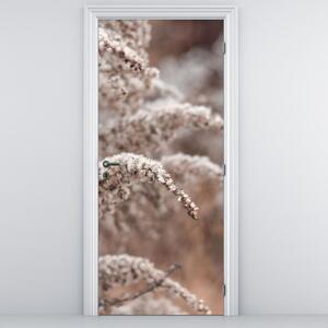 Fototapeta na dveře - Rostliny (95x205cm)