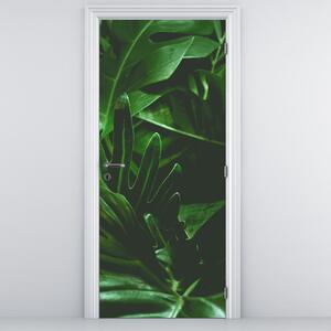 Fototapeta na dveře - Palmové listy (95x205cm)