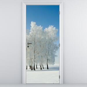 Fototapeta na dveře - Zasněžená krajina (95x205cm)