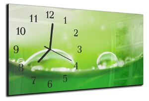 Nástěnné hodiny 30x60cm - detail rosy na zeleném - plexi