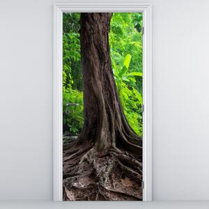 Fototapeta na dveře - Starý strom s kořeny (95x205cm)