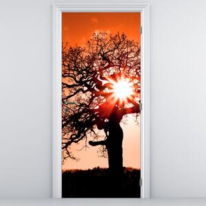 Fototapeta na dveře - Dub při západu slunce (95x205cm)