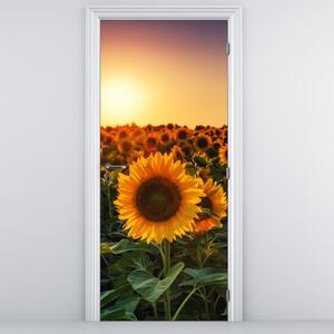 Fototapeta na dveře - Slunečnice (95x205cm)