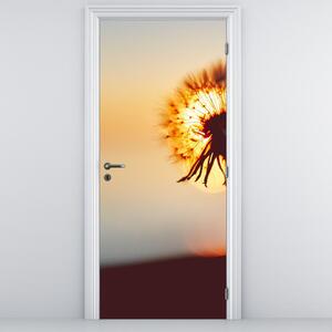 Fototapeta na dveře - Pampelišky v západu slunce (95x205cm)