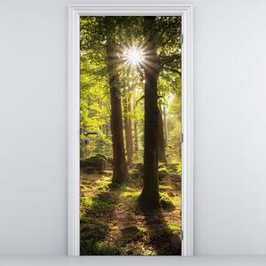 Fototapeta na dveře - Snový les (95x205cm)