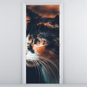 Fototapeta na dveře - Pohled kočky (95x205cm)
