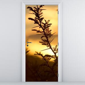 Fototapeta na dveře - Slunce zapadající za stromy (95x205cm)