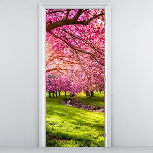 Fototapeta na dveře - Rozkvetlé třešně (95x205cm)