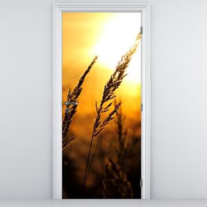 Fototapeta na dveře - Zapadající slunce (95x205cm)