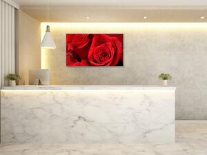 Obraz skleněný detaily květů červených růží - 50 x 70 cm