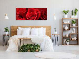 Obraz skleněný detaily květů červených růží - 34 x 72 cm