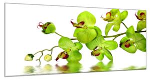 Obraz skleněný žlutočervená orchidej nad hladinou - 34 x 72 cm