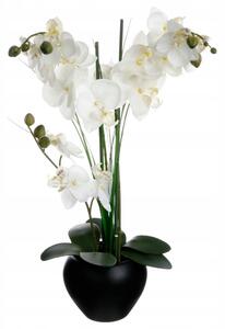 ORCHIDEJ UMĚLÁ ORCHIDEJ VELKÉ BÍLÉ KVĚTY 50 cm