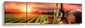 Obraz vinice s vínem (170x50 cm)