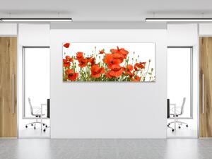 Obraz skleněný květy vlčí máky na bílém pozadí - 30 x 40 cm