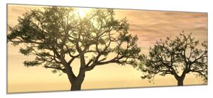 Obraz skleněný strom v západu slunce - 30 x 40 cm