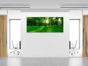 Obraz skleněný slunce prosvítá stromy v parku - 30 x 40 cm