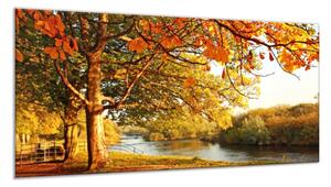 Obraz skleněný podzimní strom s lavičkou u řeky - 100 x 150 cm