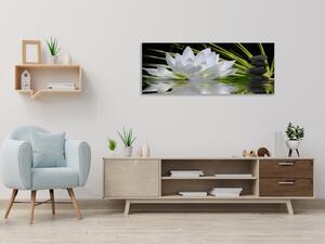 Obraz skleněný bílý květ leknínu na hladině - 30 x 40 cm