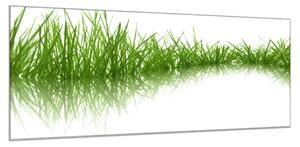 Obraz skleněný zelená tráva odraz v hladině - 50 x 70 cm