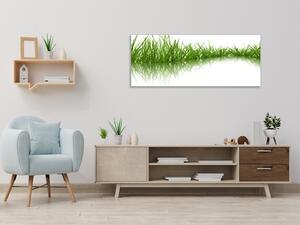Obraz skleněný zelená tráva odraz v hladině - 30 x 60 cm