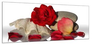 Obraz skleněný květ a lístky červené růže na mušli - 50 x 70 cm