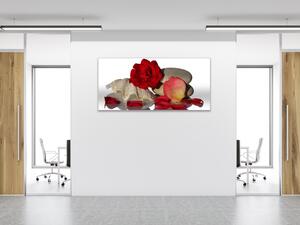 Obraz skleněný květ a lístky červené růže na mušli - 30 x 60 cm