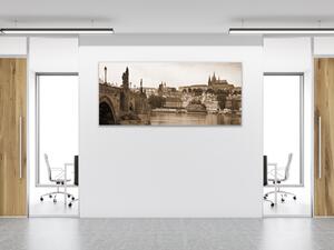 Obraz skleněný Praha - 30 x 60 cm