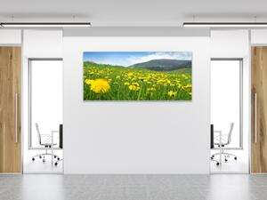 Obraz skleněný rozkvetlá louka - 30 x 60 cm
