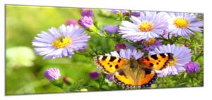 Obraz skleněný luční květy s motýlem - 100 x 150 cm