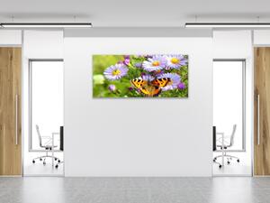 Obraz skleněný luční květy s motýlem - 50 x 100 cm