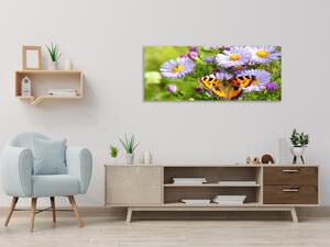 Obraz skleněný luční květy s motýlem - 30 x 60 cm