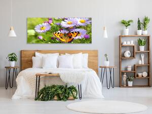 Obraz skleněný luční květy s motýlem - 30 x 60 cm
